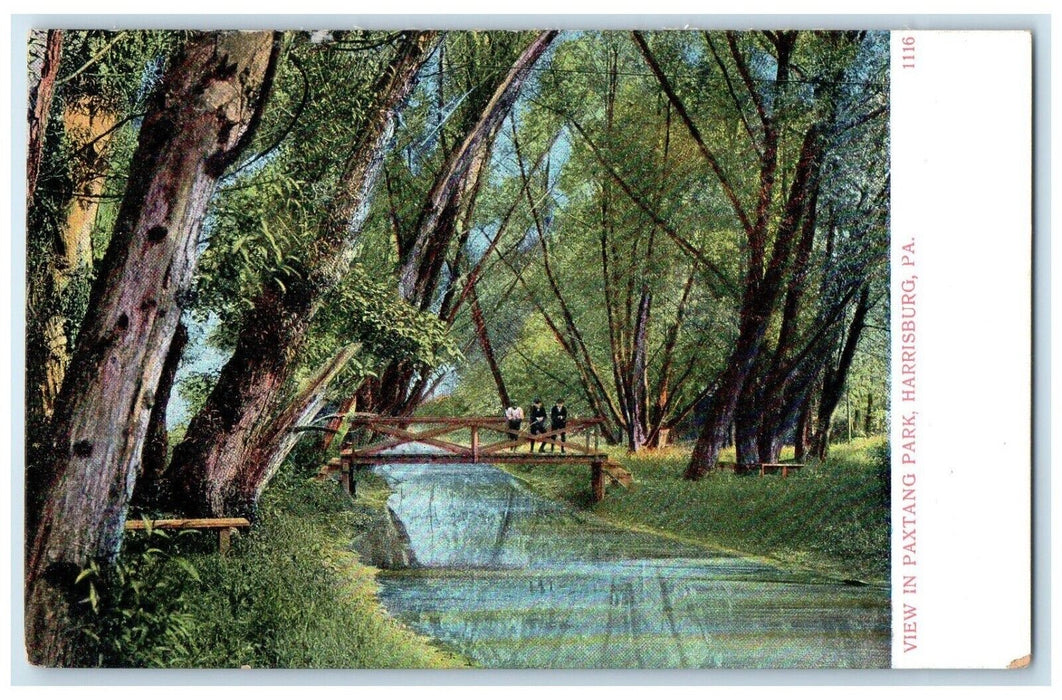 c1905 View Paxtang Park Bridge Harrisburg Pennsylvania Vintage Antique Postcard