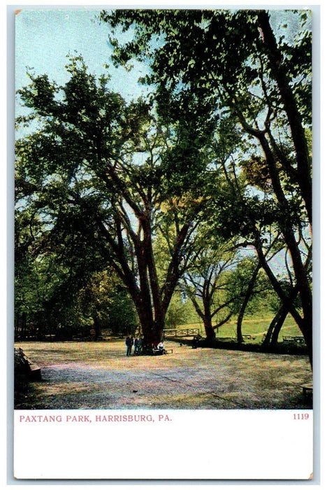 c1905 Paxtang Park Trees Field Harrisburg Pennsylvania Vintage Antique Postcard
