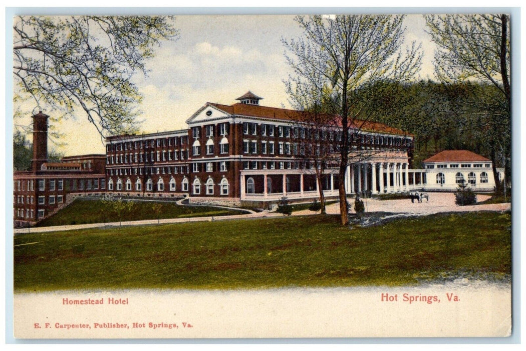 c1910's Homestead Hotel Building Hot Springs Virginia VA Antique Postcard