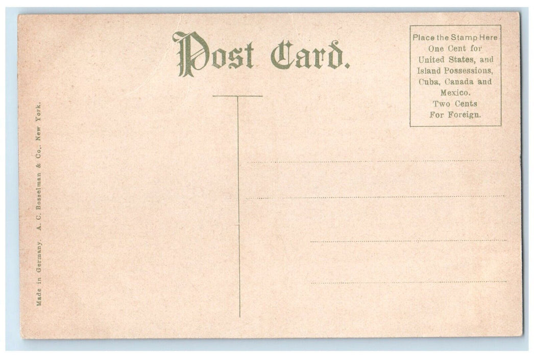 1907 Powhatan Oak Jamestown Exposition Norfolk Virginia VA Antique Postcard