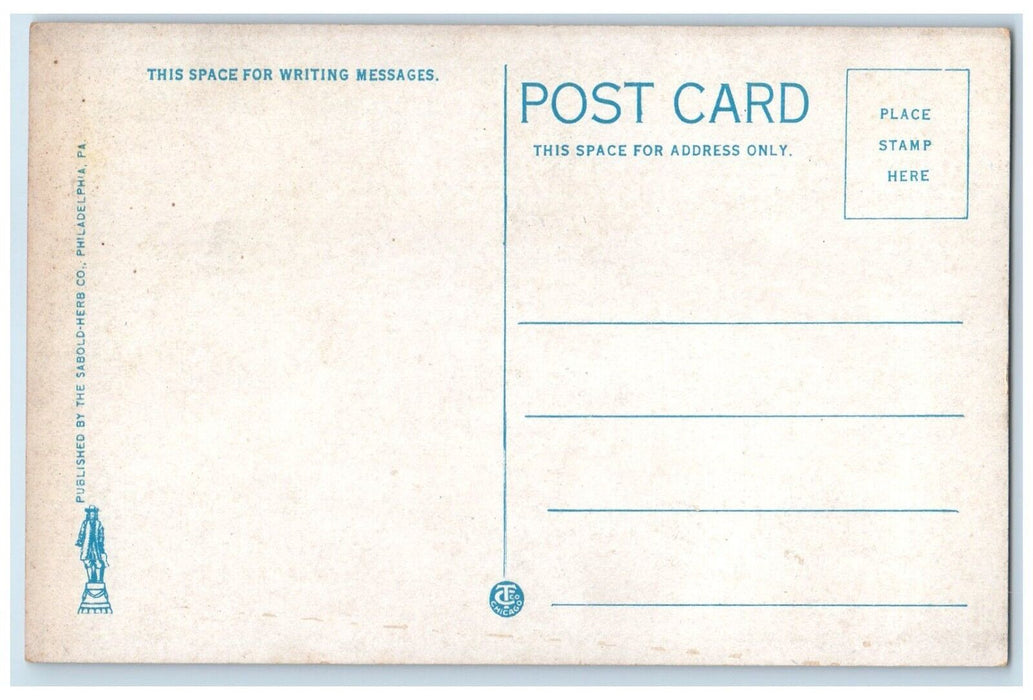 c1920 Feeding Pigeons City Hall Plaza Philadelphia Pennsylvania Vintage Postcard