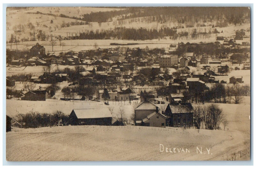 1907 Bird's Eye View Of Delevan New York NY RPPC Photo Posted Antique Postcard