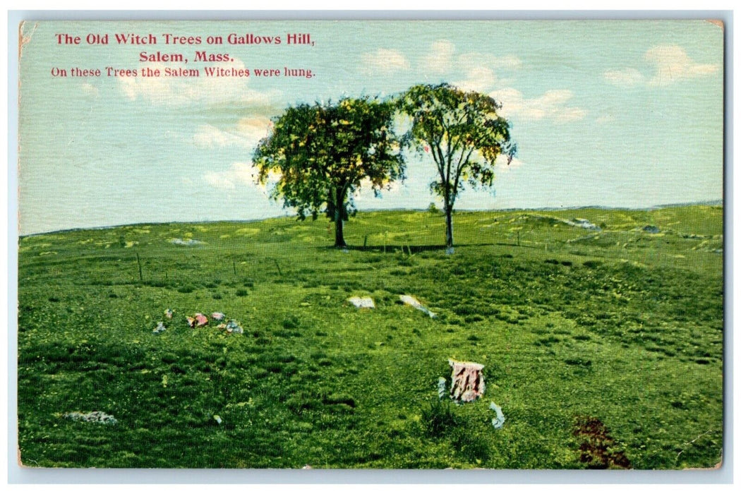c1910 Old Witch Trees Gallows Hill Salem Massachusetts Vintage Antique Postcard
