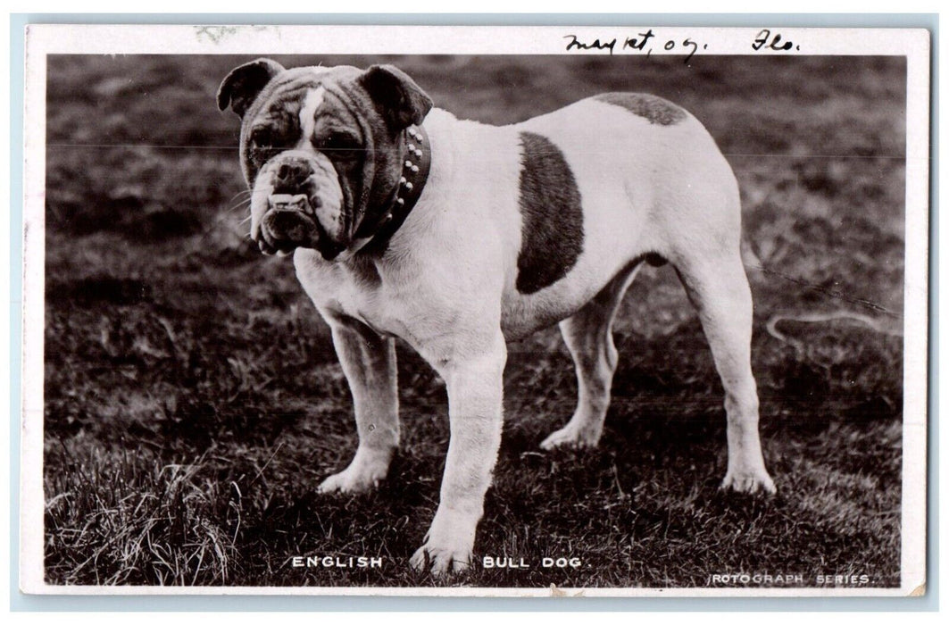 1907 English Bull Dog Rotograph RPPC Photo Stratford Ontario Canada Postcard