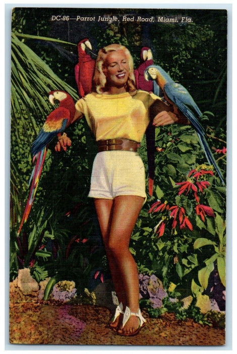 c1960 Parrot Jungle Red Road Tropical Cockatoos Macaws Miami Florida FL Postcard
