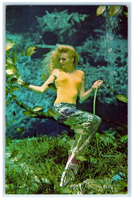 c1960 Florida's Famous Weeki Wachee Spring Mermaids Performance Vintage Postcard