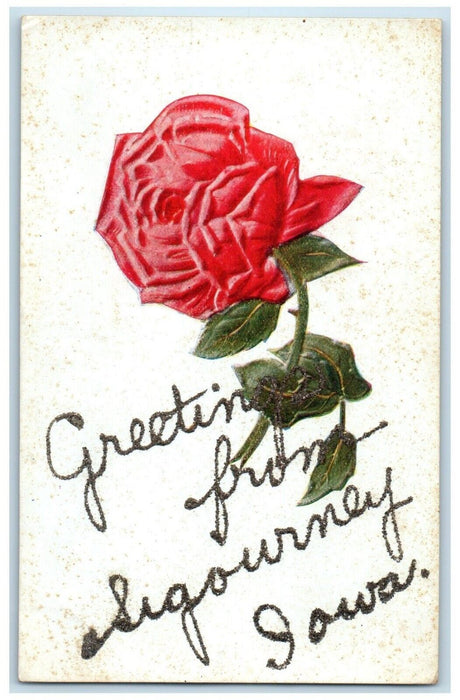 1909 Greetings From Sigourney Iowa IA, Flower Glitter Posted Antique Postcard