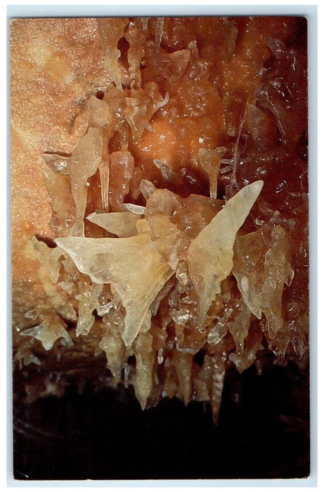 c1960 Butterfly Caverns Sonora Interior Sonora Texas TX Vintage Antique Postcard