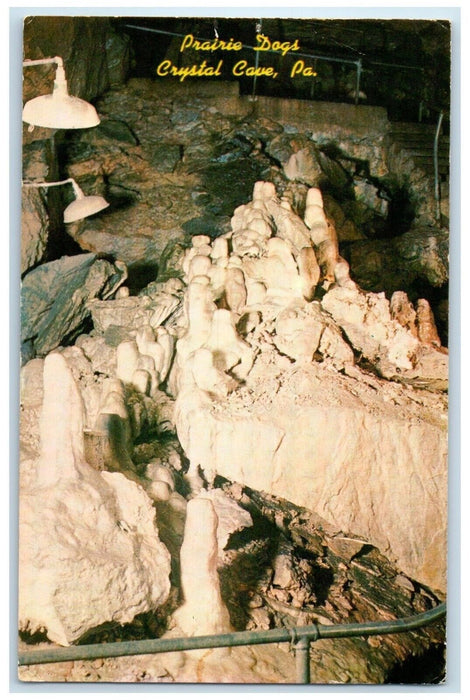 c1960 Praire Dogs Famous Crystal Cave Pennsylvania PA Vintage Unposted Postcard