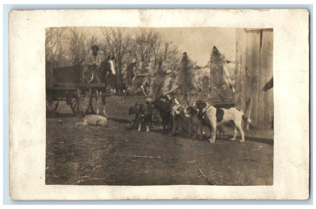 c1910's Hunting Dogs Wolf Wolves Hunter Horse View RPPC Photo Unposted Postcard