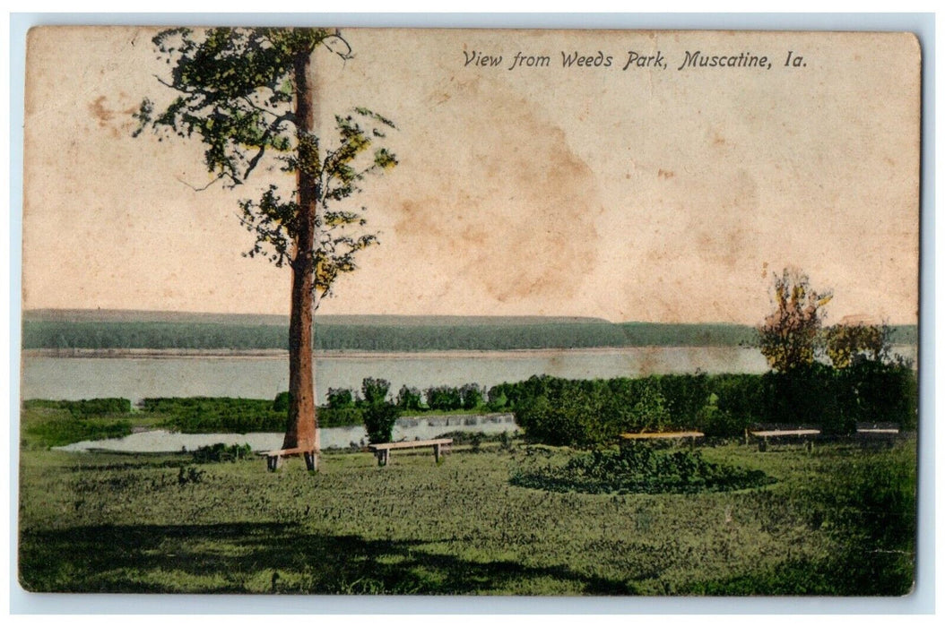 1921 View From Weeds Park Muscatine Iowa IA Posted Vintage Postcard