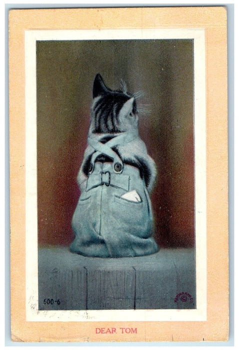 1911 Anthropomorphic Cat Wearing Pants Dear Tom Embossed Iowa MI Posted Postcard