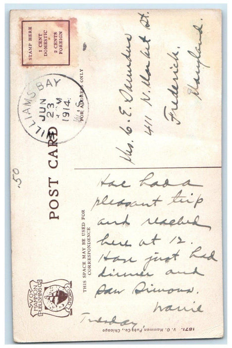 Young Men's Christian Association Camp Lake WI, Watching Water Sports Postcard