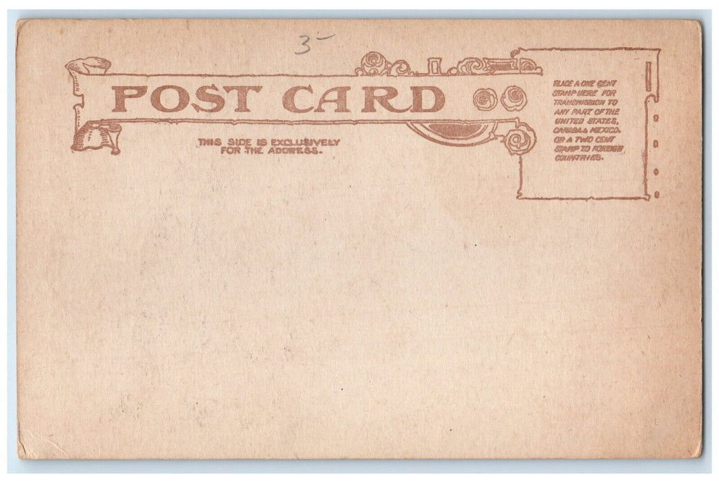 c1905 I Drop You A Lemon Hand Unposted Antique Humor Citrus Postcard
