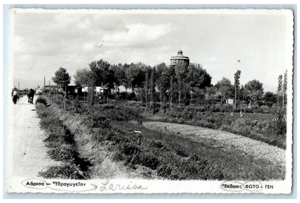 c1940's A Tree Nursey Larissa-Ydragogeion Greece RPPC Photo Postcard