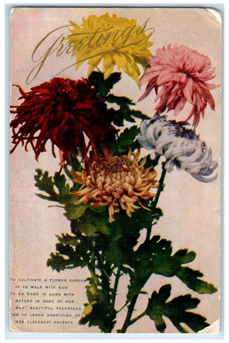 1908 Bigwoods Minnesota MN DPO 1895-1909 Marshall County Doane Cancel Postcard