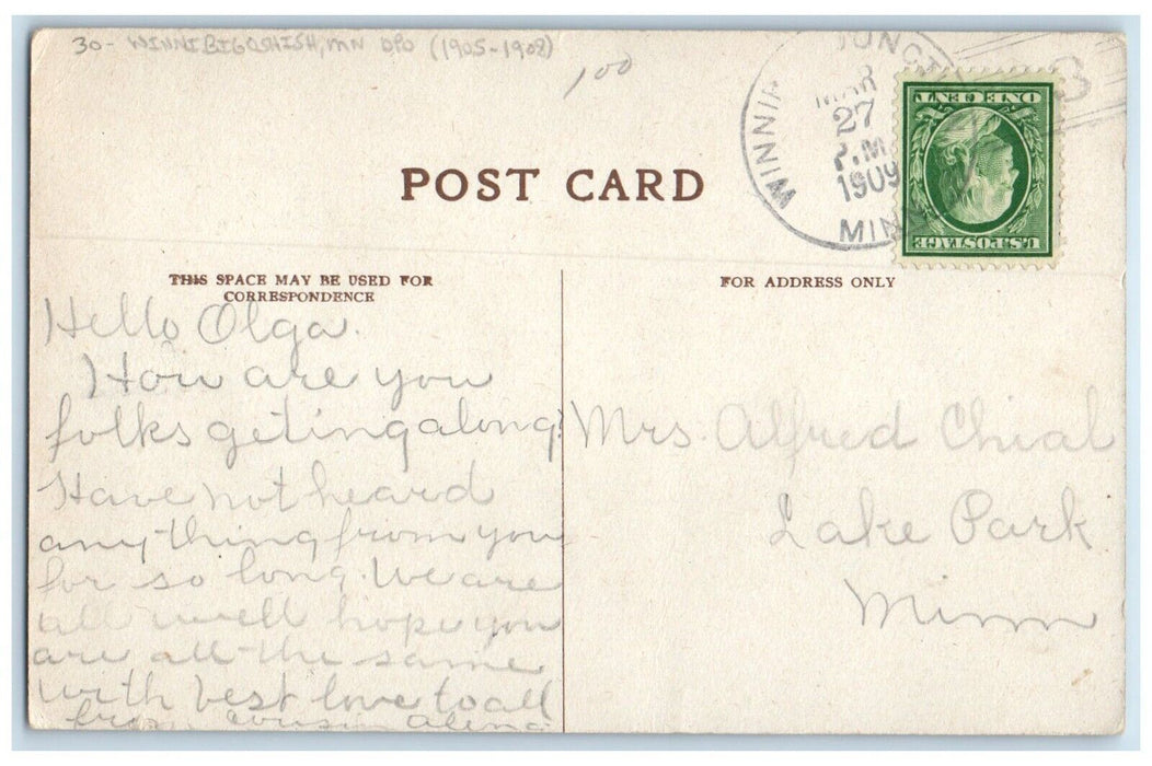 1909 Winnibigoshish Minnesota MN To Lake Park DPO 1905-1908 Flower Postcard