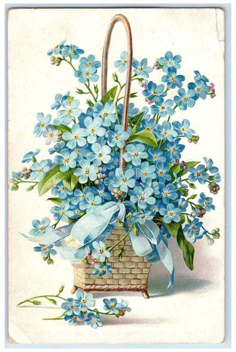 1908 Johnson Minnesota MN St. Paul DPO Big Stone Co. Tuck's Flowers Postcard