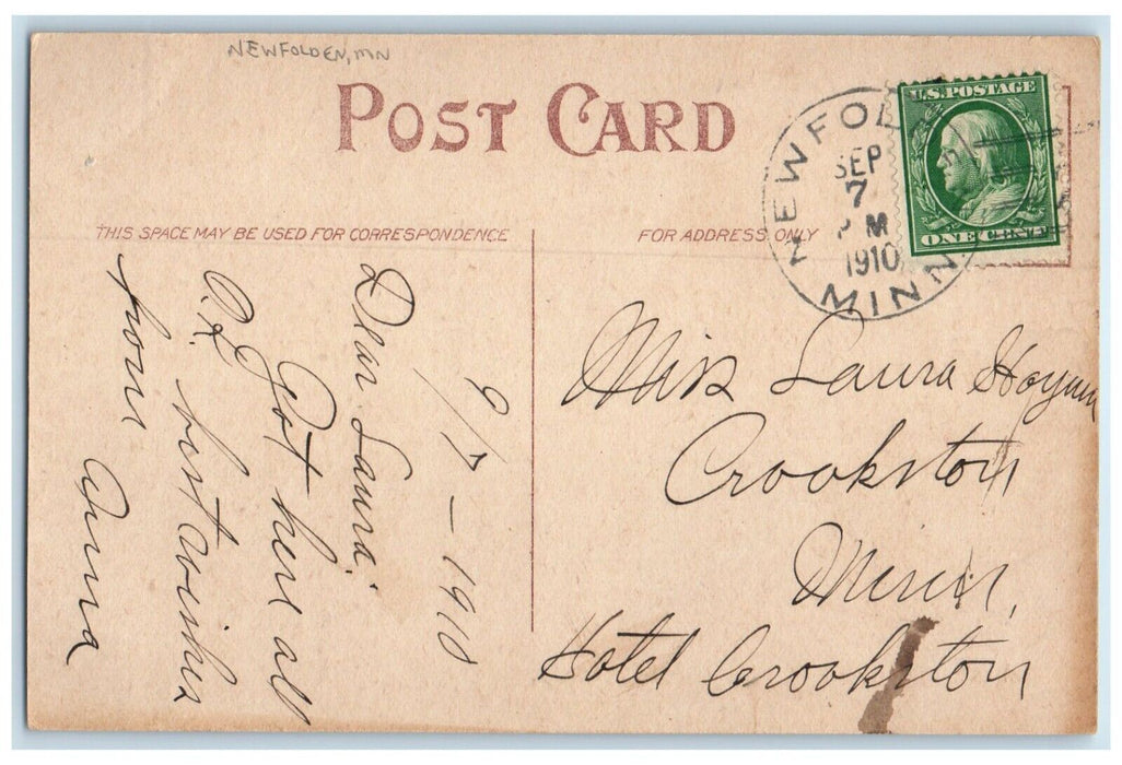 1910 Newfolden Minnesota MN Doane Cancel 1 Cent Greeting Flowers Postcard