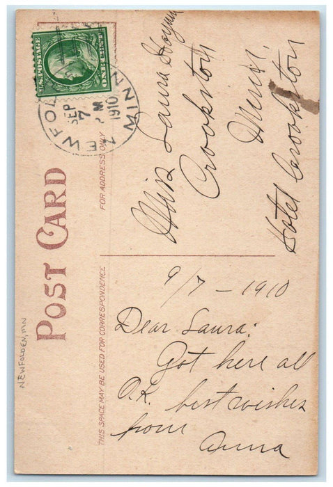 1910 Newfolden Minnesota MN Doane Cancel 1 Cent Greeting Flowers Postcard