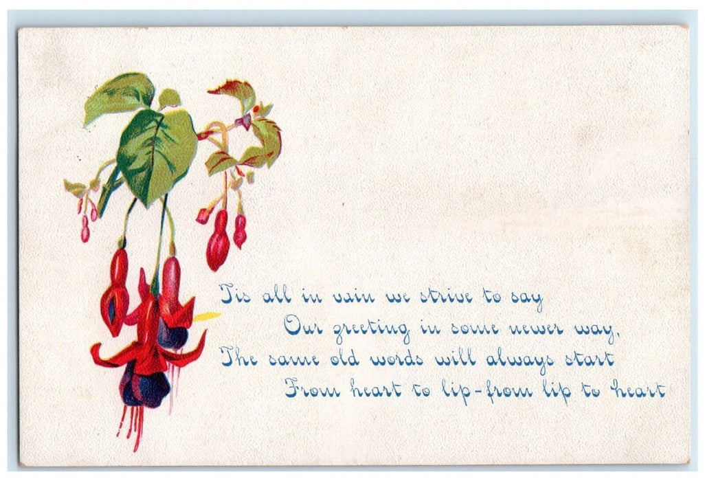 1910 Newfolden Minnesota MN Doane Cancel 1 Cent Greeting Flowers Postcard