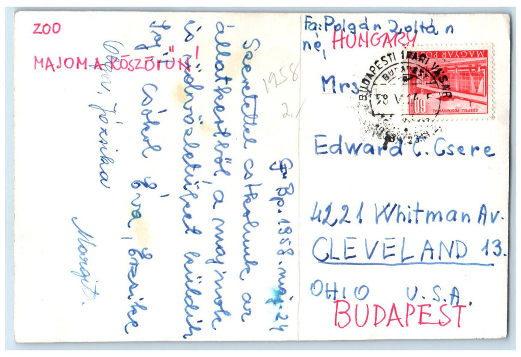 1958 Majoma Koszorun Zoo Budapest Hungary Posted RPPC Photo Postcard