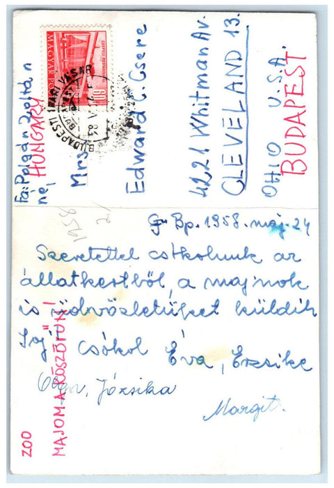 1958 Majoma Koszorun Zoo Budapest Hungary Posted RPPC Photo Postcard