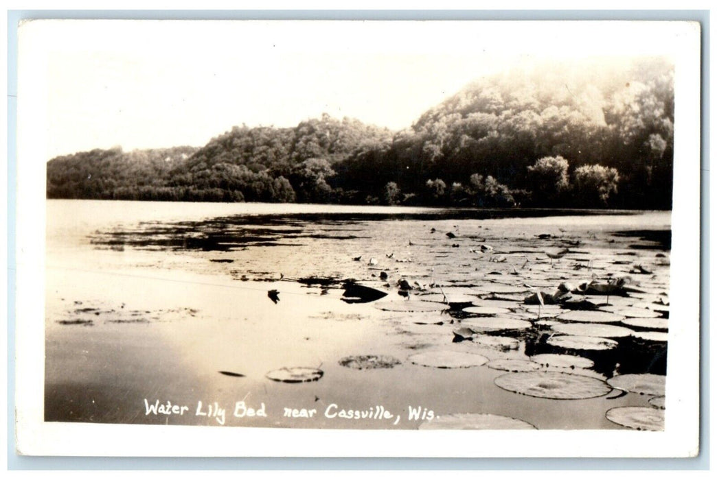 c1940's Water Lily Bed Near Cassville Wisconsin WI RPPC Photo Vintage Postcard