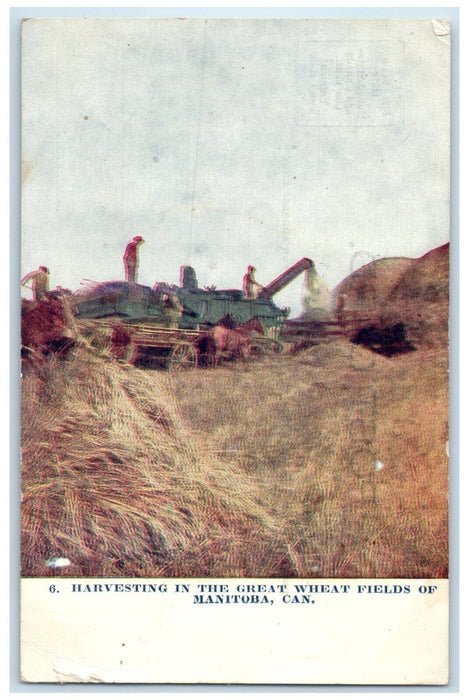 Harvesting In The Great Wheat Fields Of Manitoba Canada DPO Shawmut CA Postcard