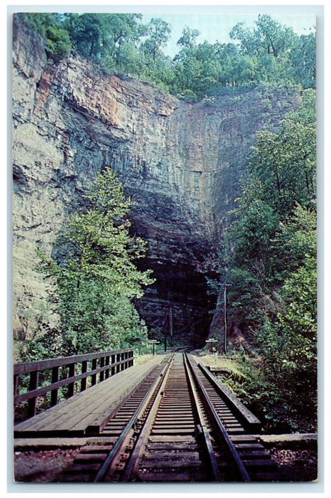 c1950's Natural Tunnel Railroad Train Scott County Virginia VA Vintage Postcard