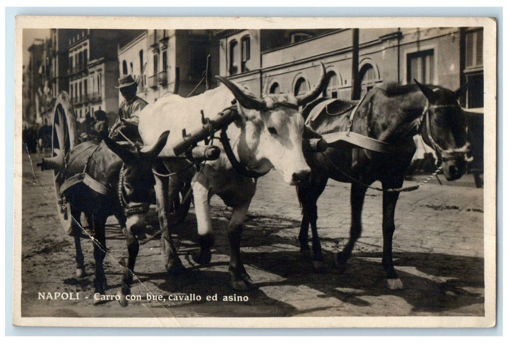 c1930's Wagon With Ox Horse And Donkey Naples Italy RPPC Photo Postcard