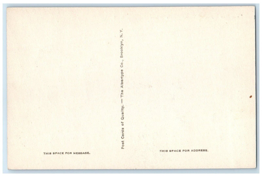 The New Uplands Bethlehem White Mountains New Hampshire NH Vintage Postcard