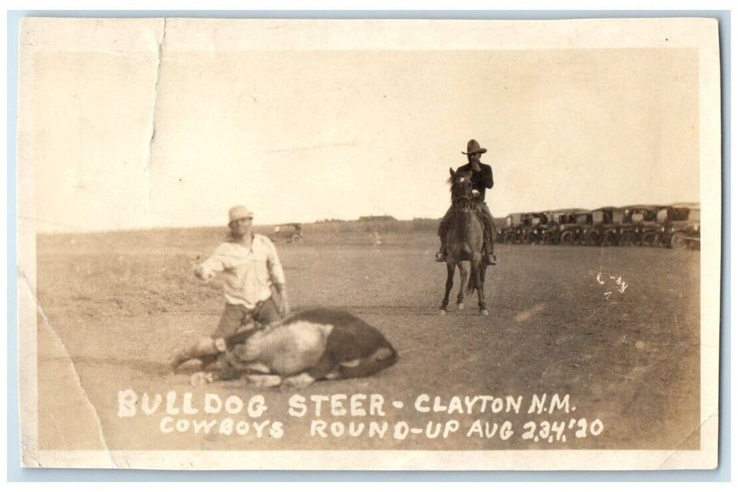 1921 Bulldog Steer Cowboys Round Up Horse View Clayton NM RPPC Photo Postcard