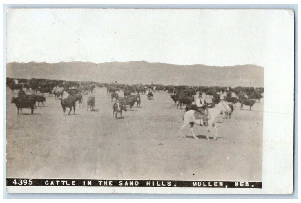 1909 Cattle In The Sand Hills Cowboy View Mullen Nebraska NE RPPC Photo Postcard