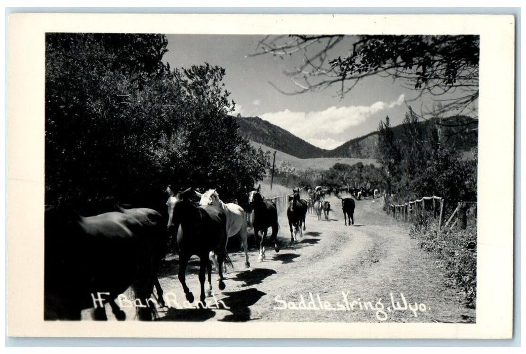 c1940's Bar Ranch Horse Stampede View Saddlestring WY RPPC Photo Postcard