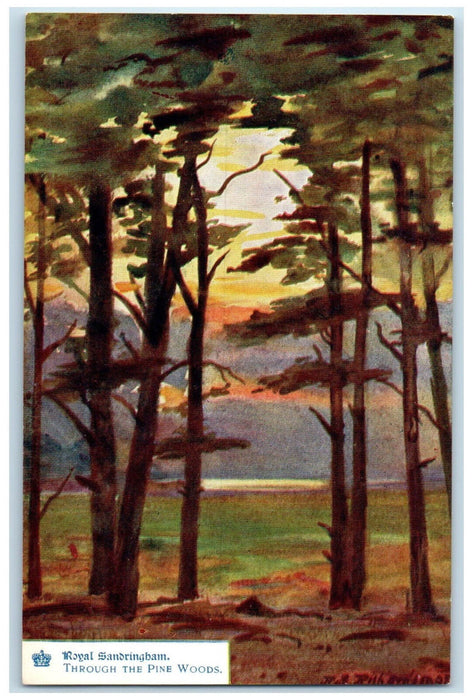 c1910 Royal Sandringham Through The Pine Woods England Oilette Tuck Art Postcard