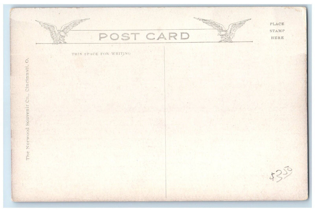 c1910's Pleasure Steamer Princess On The Ohio River Cincinnati OH Postcard