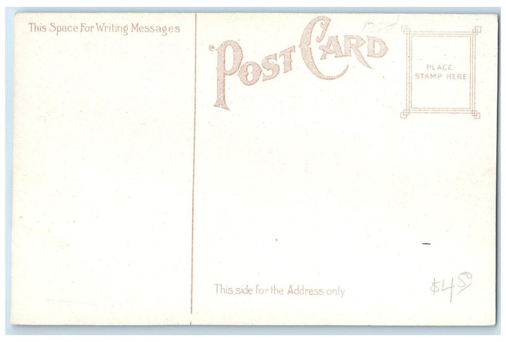 c1910's Excursion Boats Pittsburg Pennsylvania PA Unposted Antique Postcard