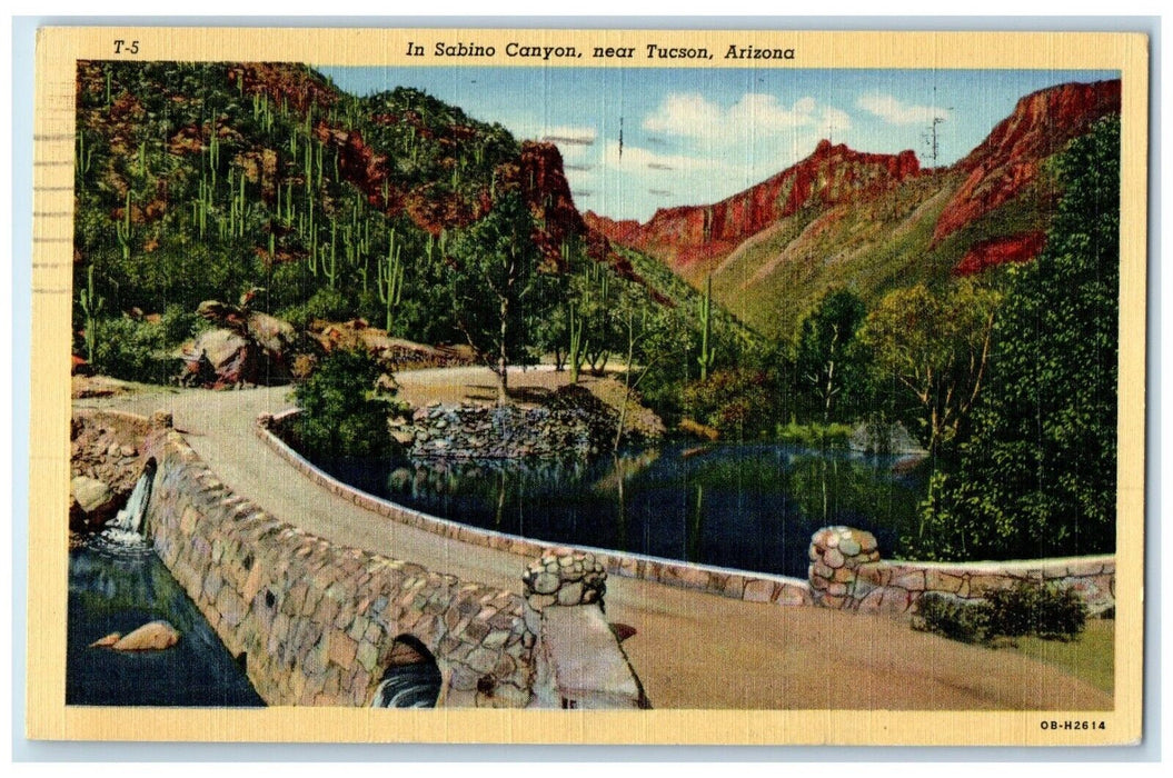 1942 View In Sabino Canyon Near Tucson Arizona AZ Posted Vintage Postcard