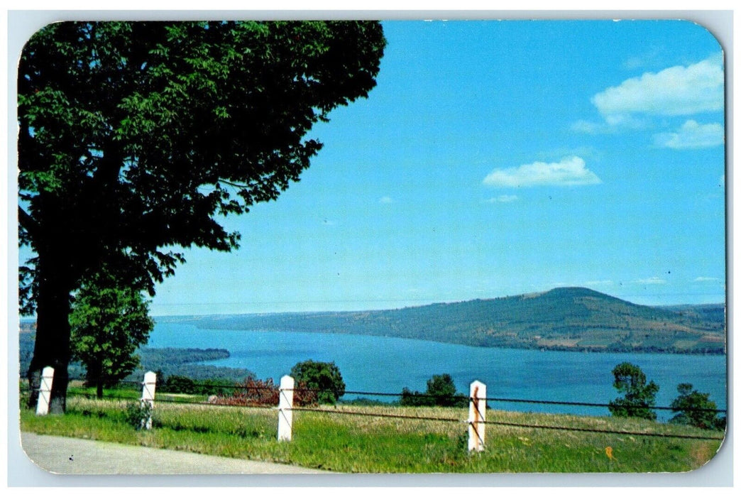 1955 Bare Hill On Canandaigua Lake Canandaigua Stanley New York NY Postcard