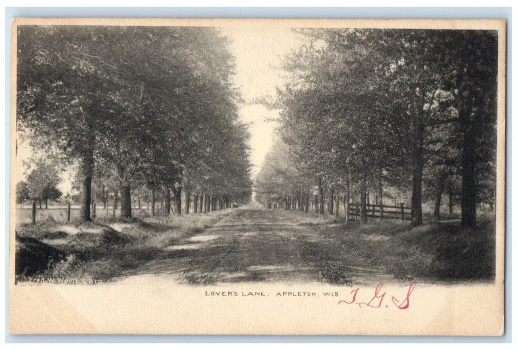 c1905 Lovers Lane Street Road Trees Appleton Wisconsin Vintage Antique Postcard