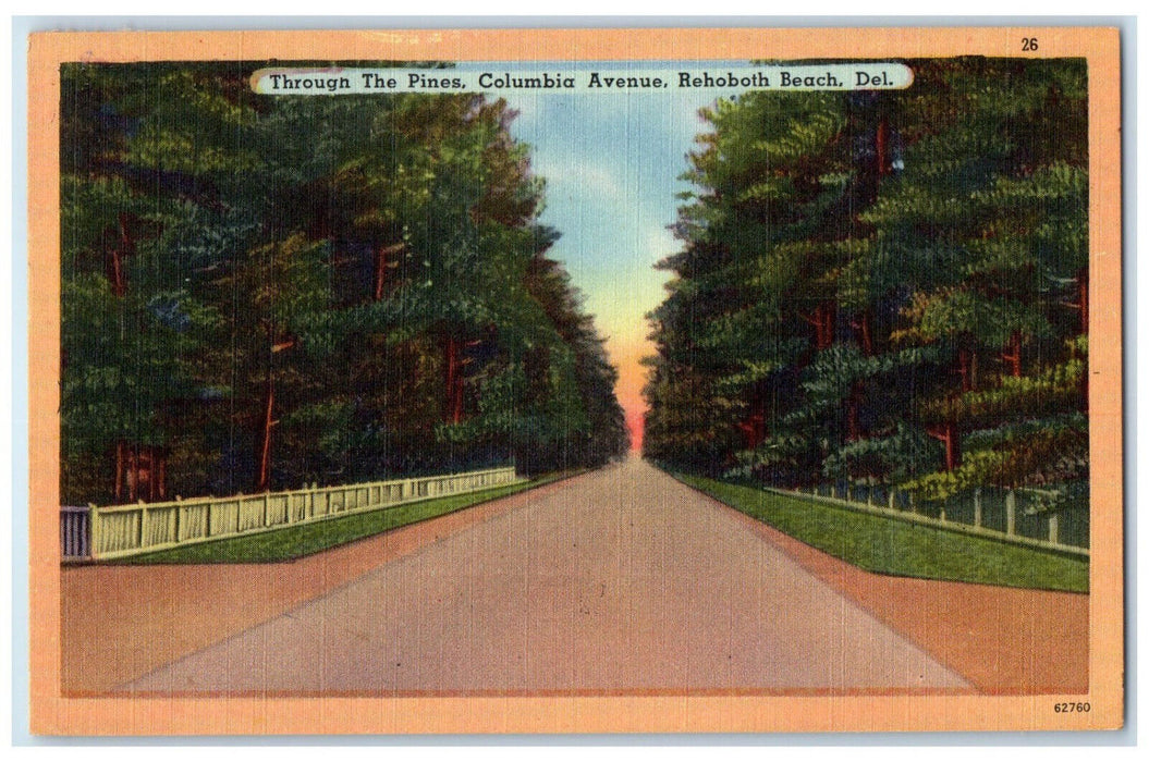 1952 Through The Pines Columbia Avenue Rehoboth Beach Delaware DE Postcard