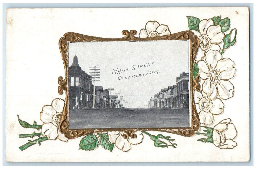 1909 View Of Main Street Buildings Flowers Ocheyedan Iowa IA Antique Postcard