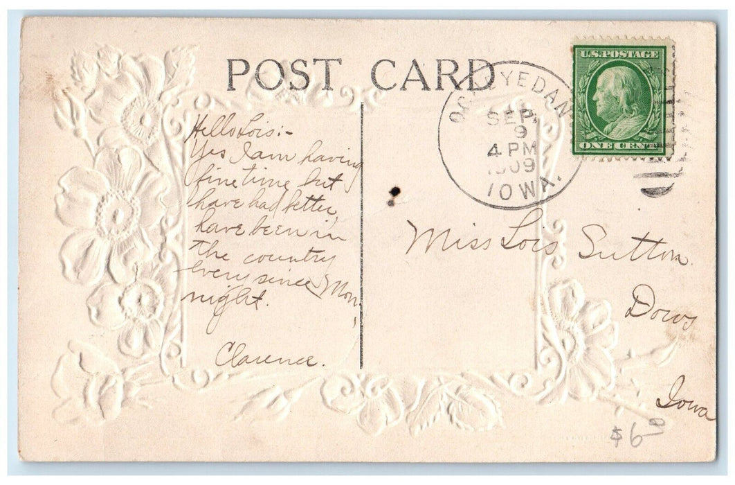 1909 View Of Main Street Buildings Flowers Ocheyedan Iowa IA Antique Postcard