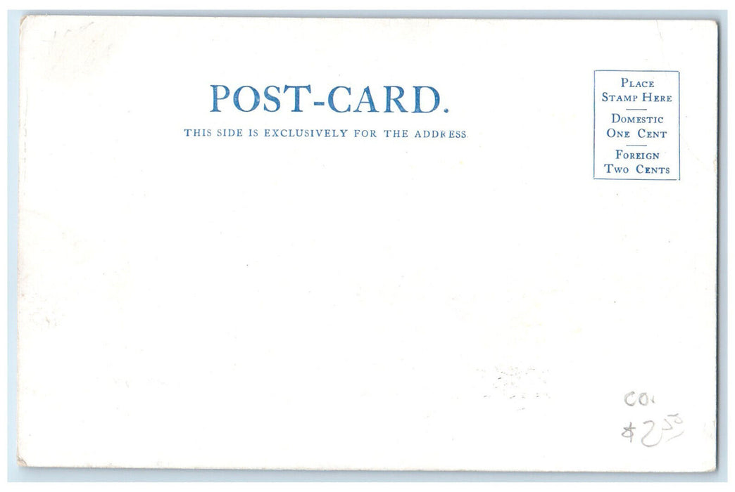 c1905 Economic Mill Cripple Creek District Colorado CO Antique Postcard