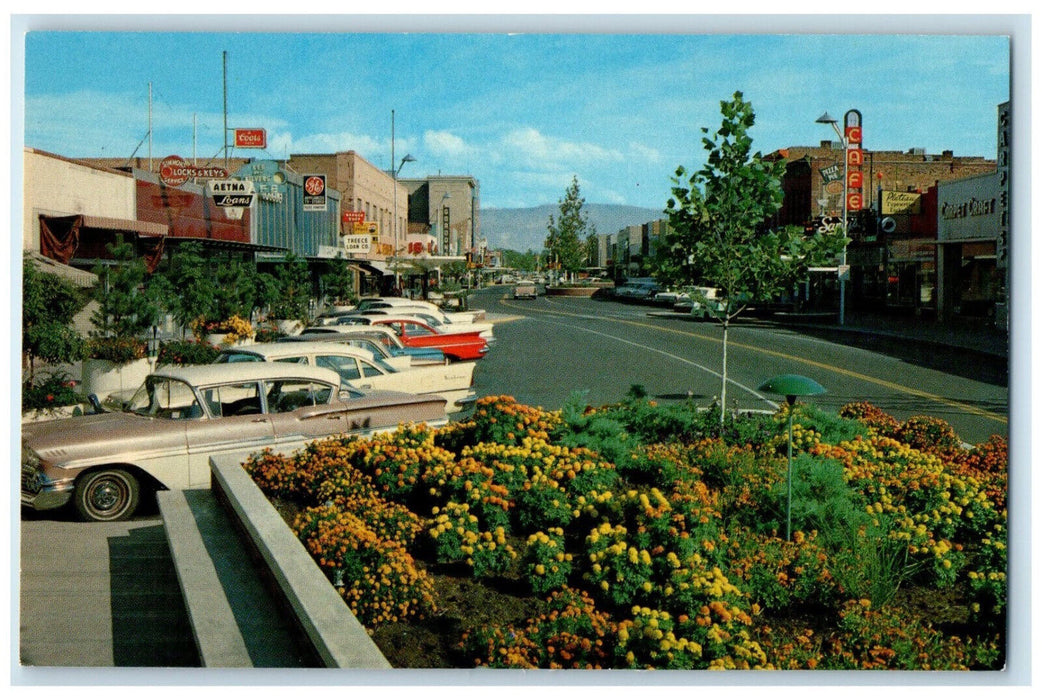 c1960's Flower Beds Lighted at Night Grand Junction Colorado CO Postcard