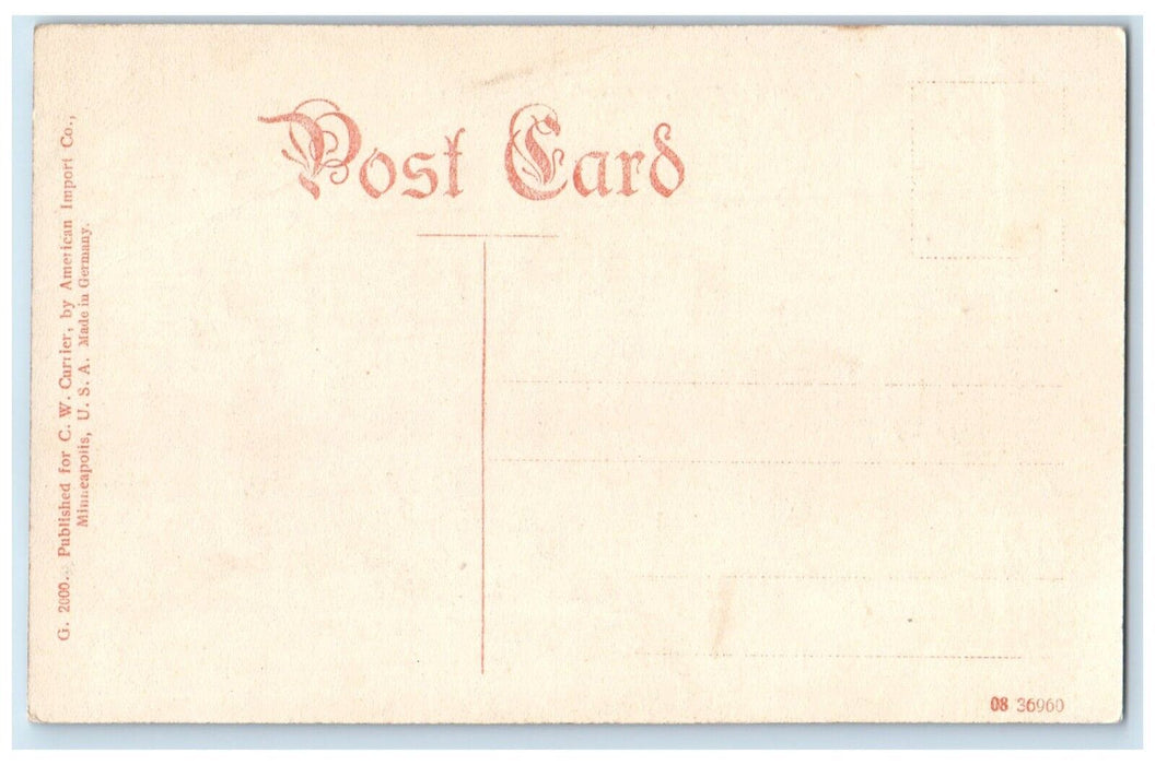 c1910's Public School Building Campus Nicollet Minnesota MN Antique Postcard