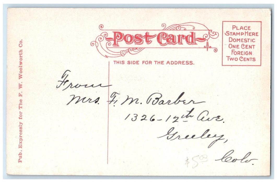 c1910 Eight Street Park Distance Buildings Greeley Colorado CO Antique Postcard