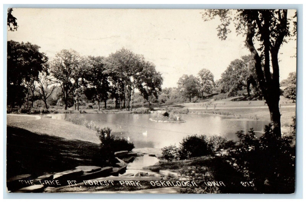 1931 View Of The Lake At Forest Park Oskaloosa Iowa IA RPPC Photo Postcard