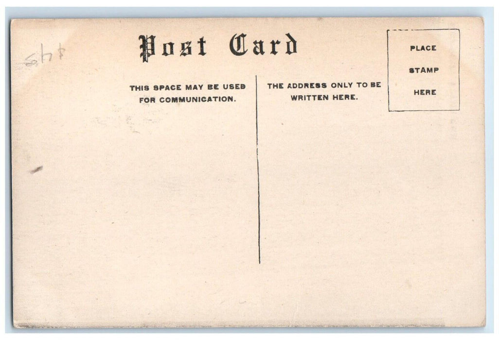 1910 Birds Eye View Main Street Road Streetcar Building Pueblo Colorado Postcard